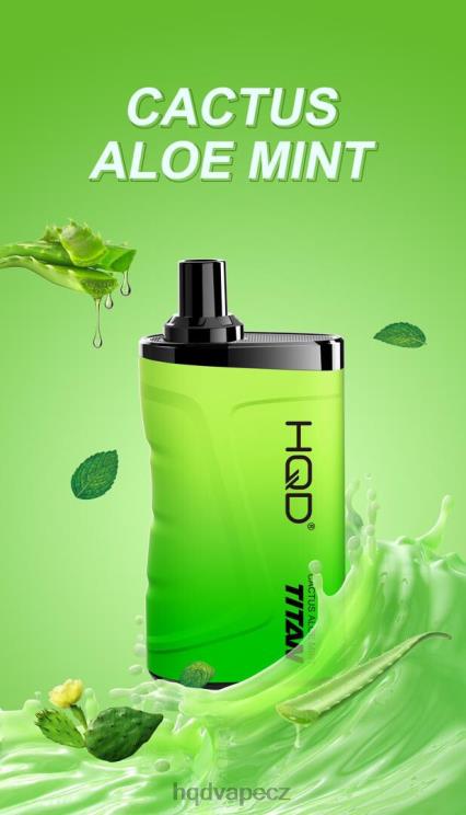 kaktusová aloe máta